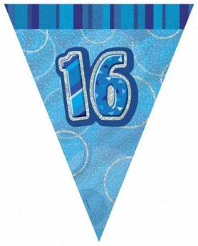 Blue Glitz 16 Party Flag Banner 9ft