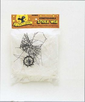 Spider & Spider Web