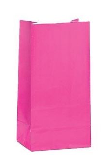 Hot Pink Paper Party Bags 12pk