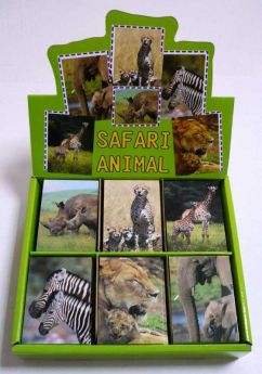 Safari Notebook 