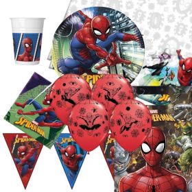 Spiderman Ultimate Party Pack