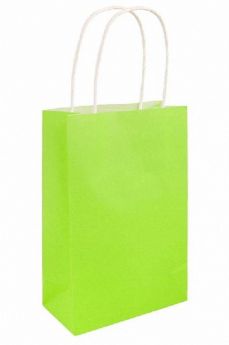 Neon Green Paper Party Bag