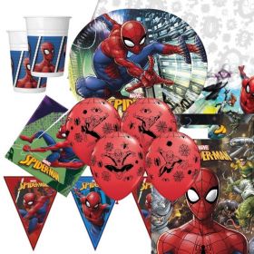Spiderman Deluxe Party Pack